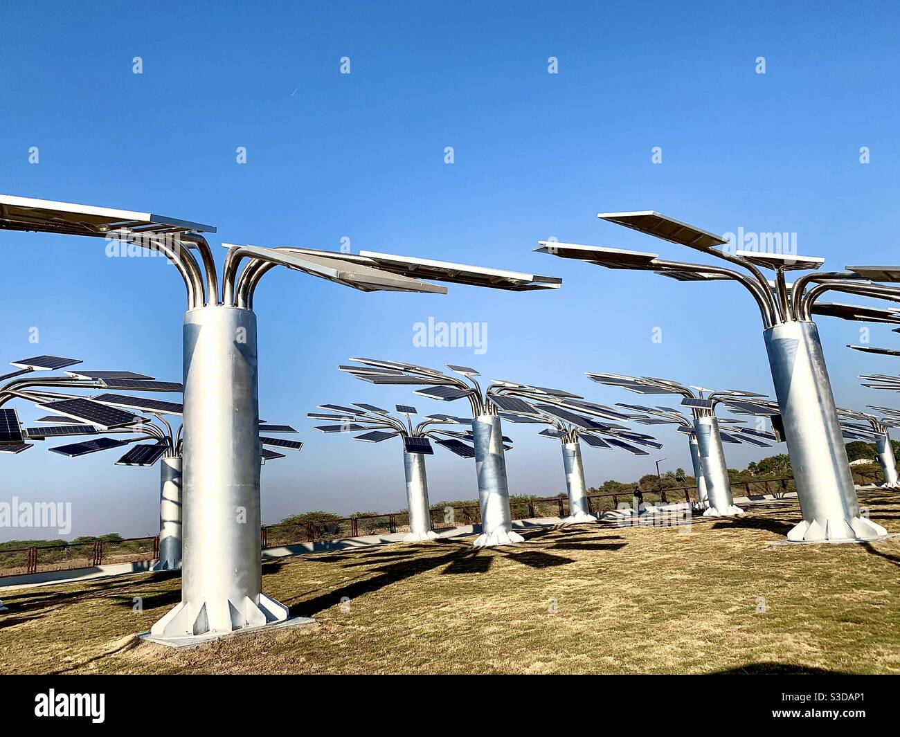 Solarbäume am National Salt Memorial, Dandi Gujarat Stockfoto