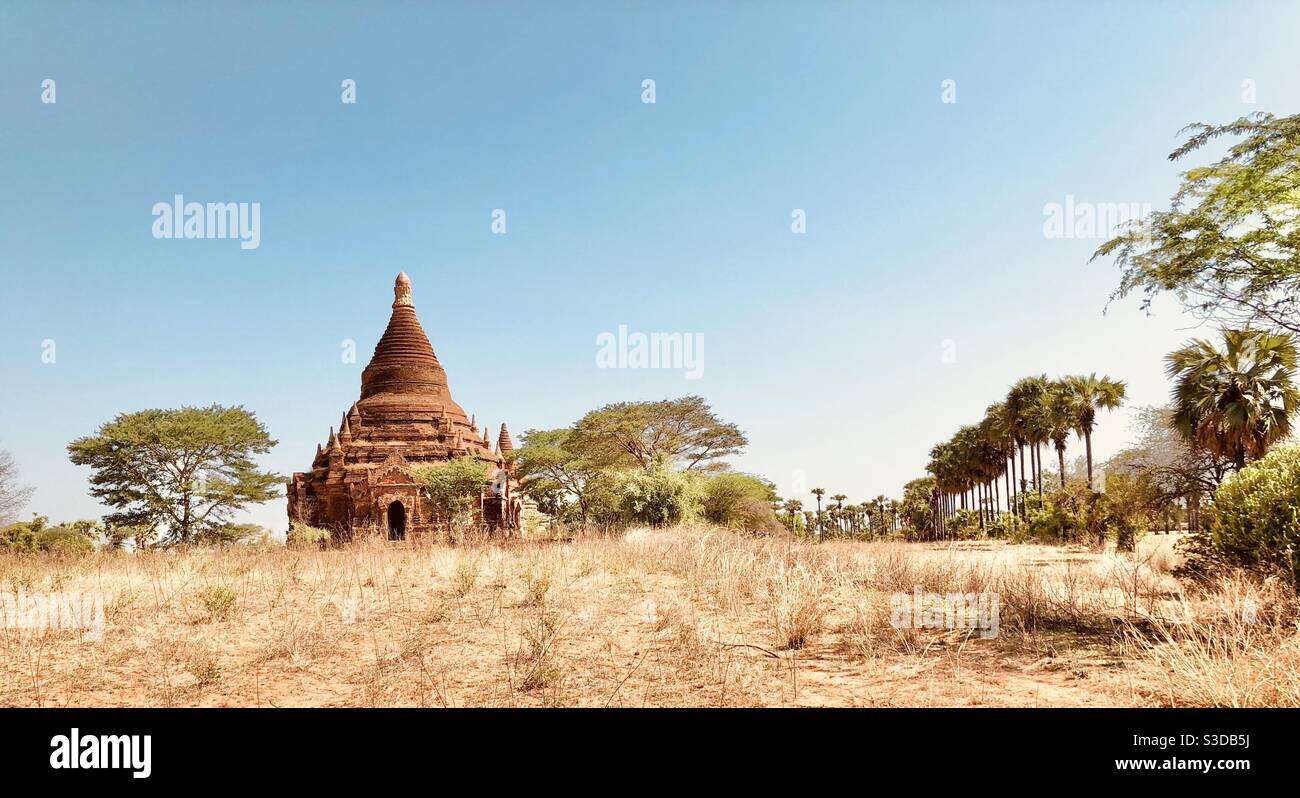 Panorama-Landschaft der burmesischen Landschaft, Stupa und Palmen in Bagan Archäologische Zone, Myanmar - Smartphone-aufgenommenes Stockfoto