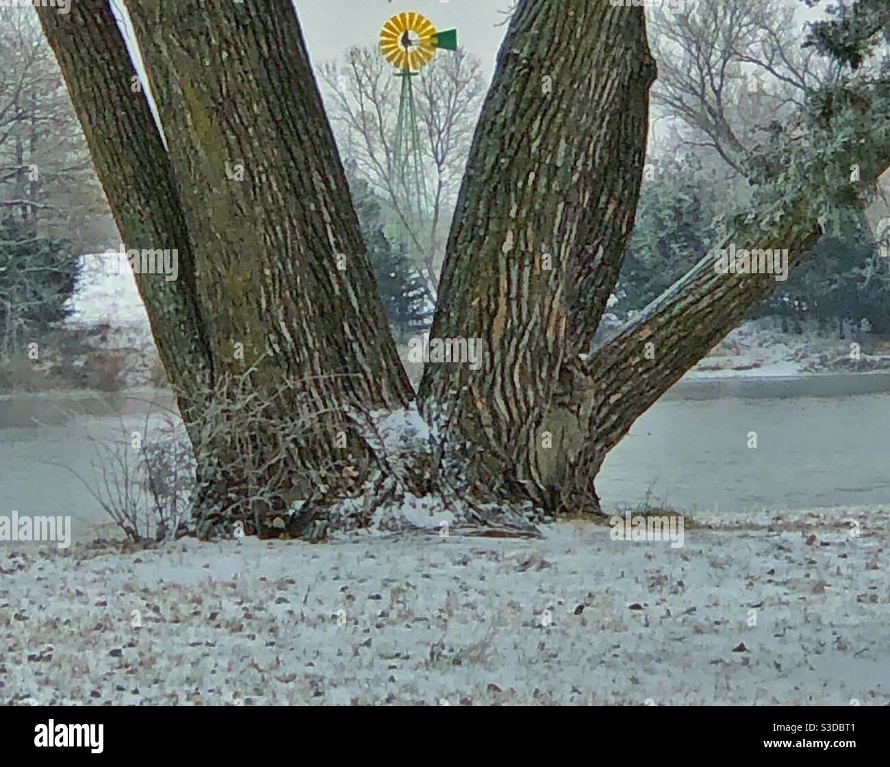 Verschneite Reise durch den Park an einem Wintermorgen. Stockfoto
