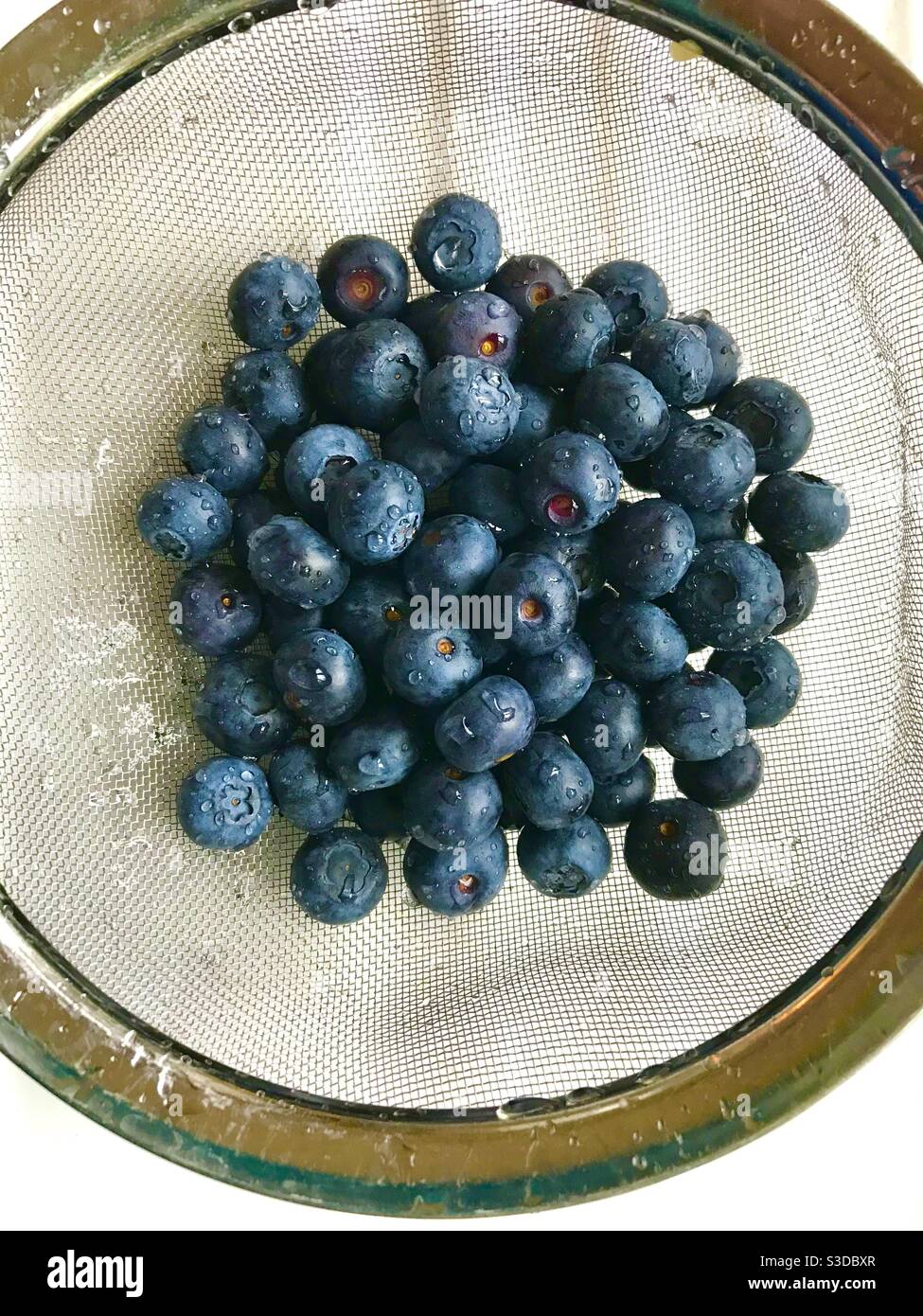 Heidelbeeren im Sieb Stockfoto