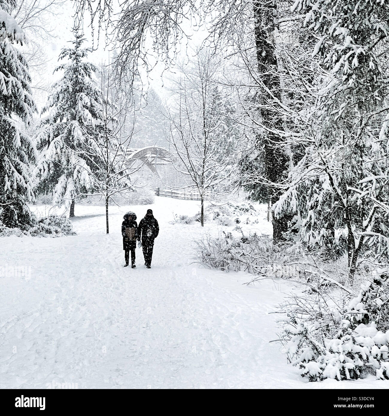 Ein paar Spaziergänge durch den Park während des Schneesturms in Issaquah, WA Stockfoto