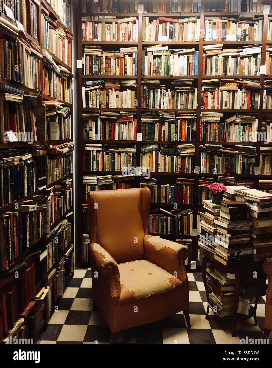 Ein alter Ledersessel in einem Raum voller Bücher Stockfoto