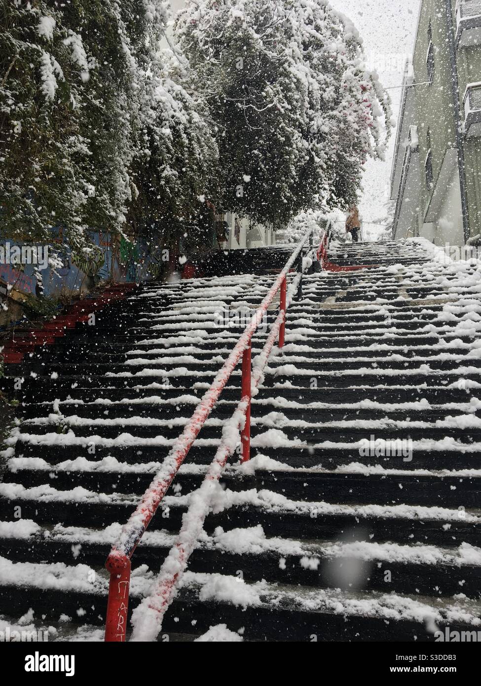 Schneebedeckte Stufen schaffen eine magische Winterszene, umgeben von satinierten Bäumen und Gebäuden in Athen, Griechenland und Europa. Stockfoto