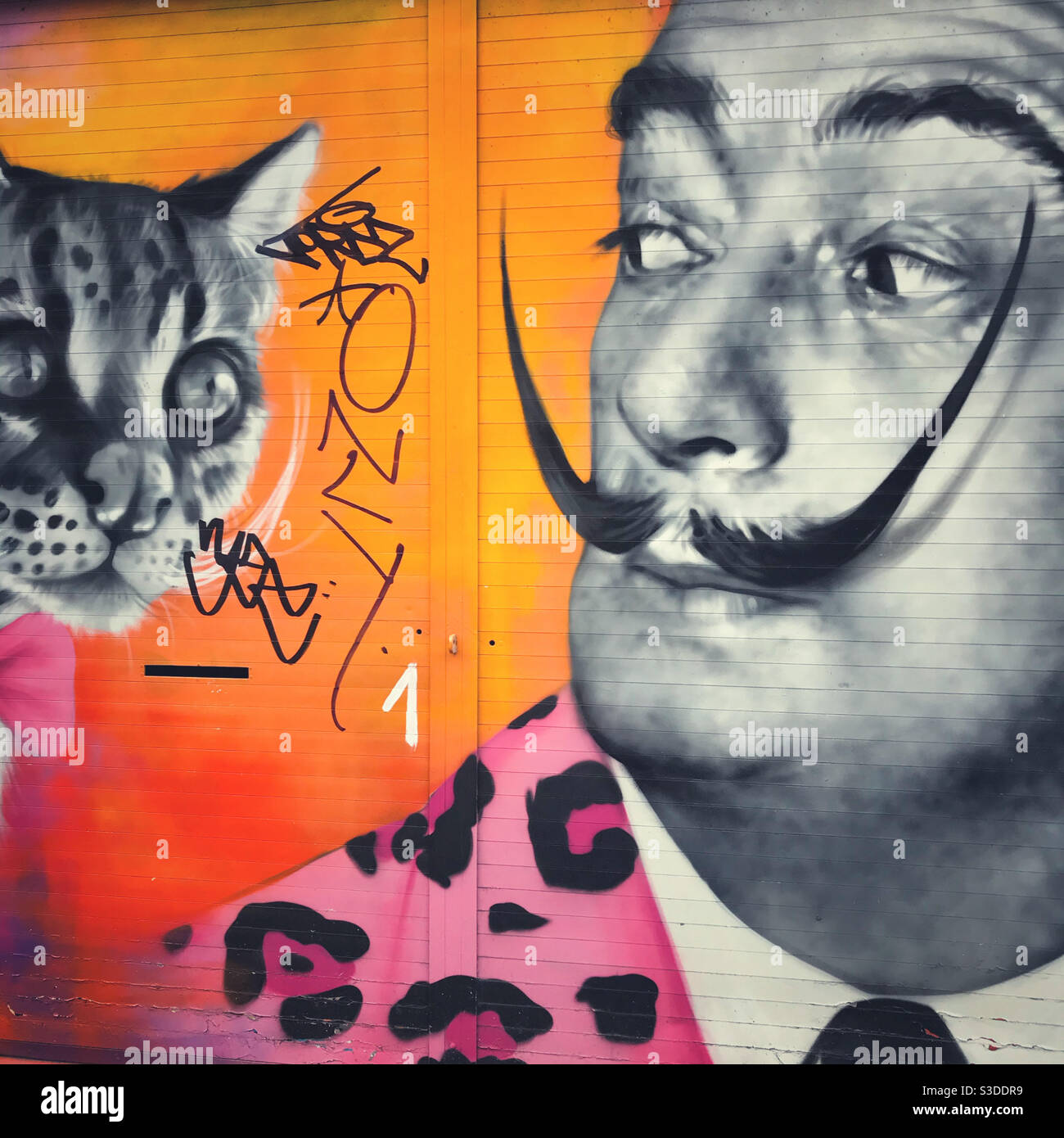 Salvador Dali Graffiti Stockfotos Und Bilder Kaufen Alamy