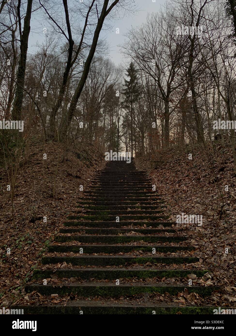 Treppe zum Himmel Stockfoto