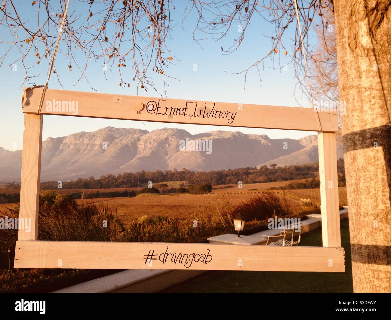 Die Berge von Stellenbosch umrahmt wunderschön in Ernie Els Winery, Kapstadt, Südafrika Stockfoto