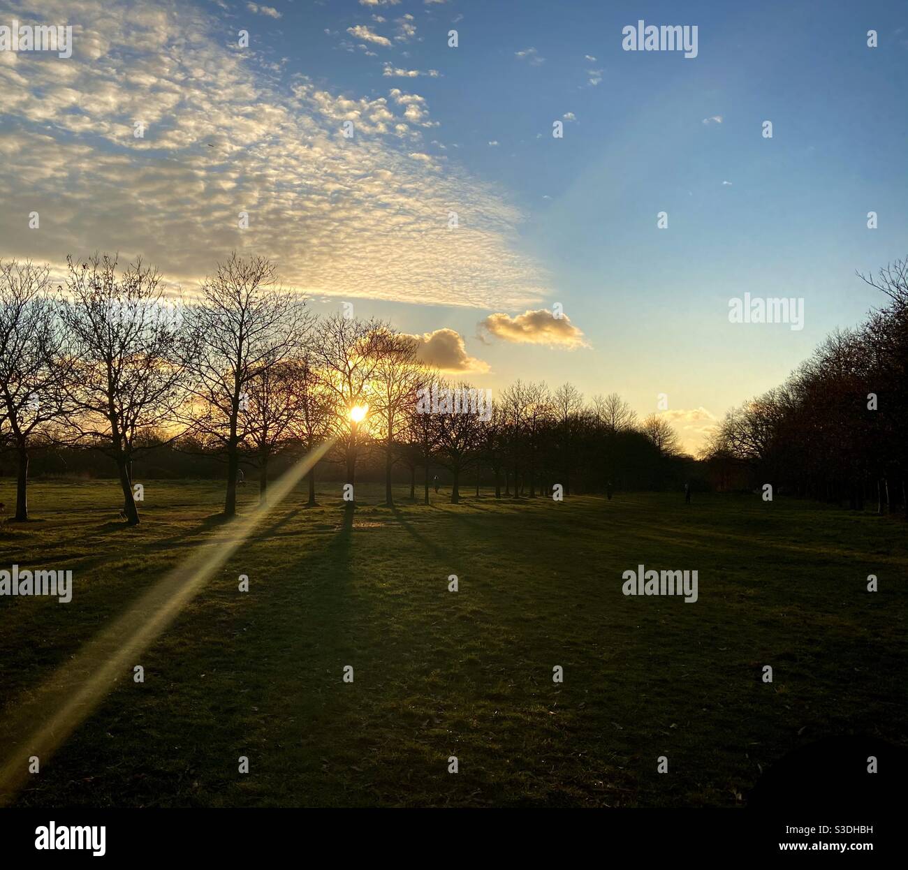 Sonnenuntergang über Wanstead Park, London, Großbritannien. Stockfoto