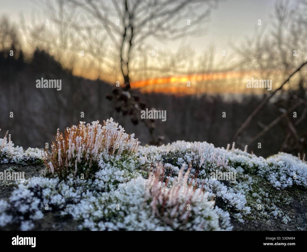 Frostiger Abend bei Sonnenaufgang Stockfoto