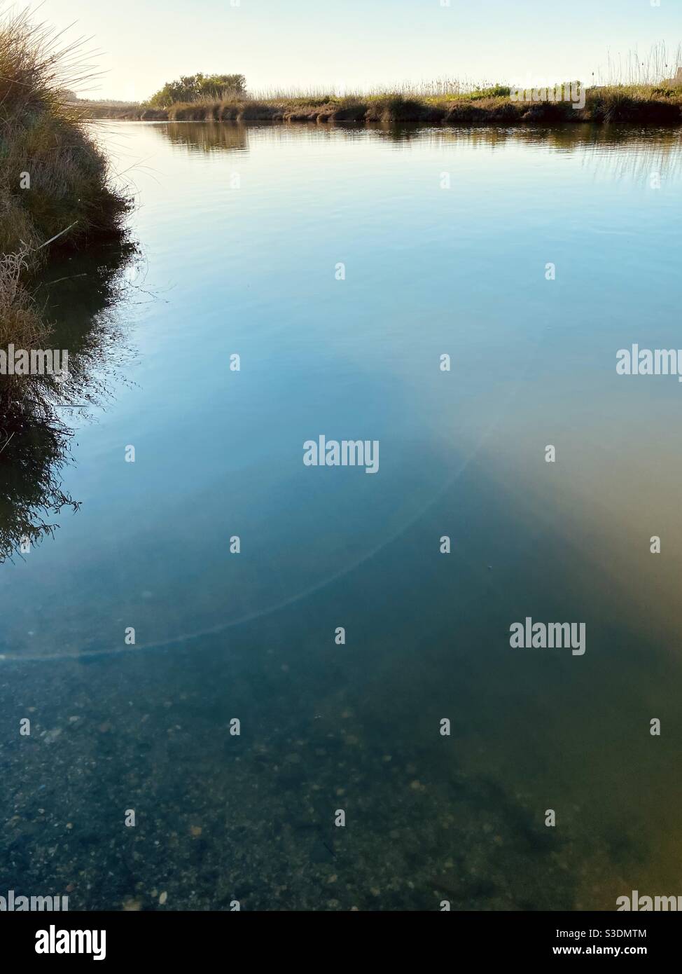 Leichte Fackeln fallen auf das ruhige Wasser eines Teiches, Licht seine Tiefe im Vordergrund und Wassergras und Vegetation im Hintergrund. Stockfoto