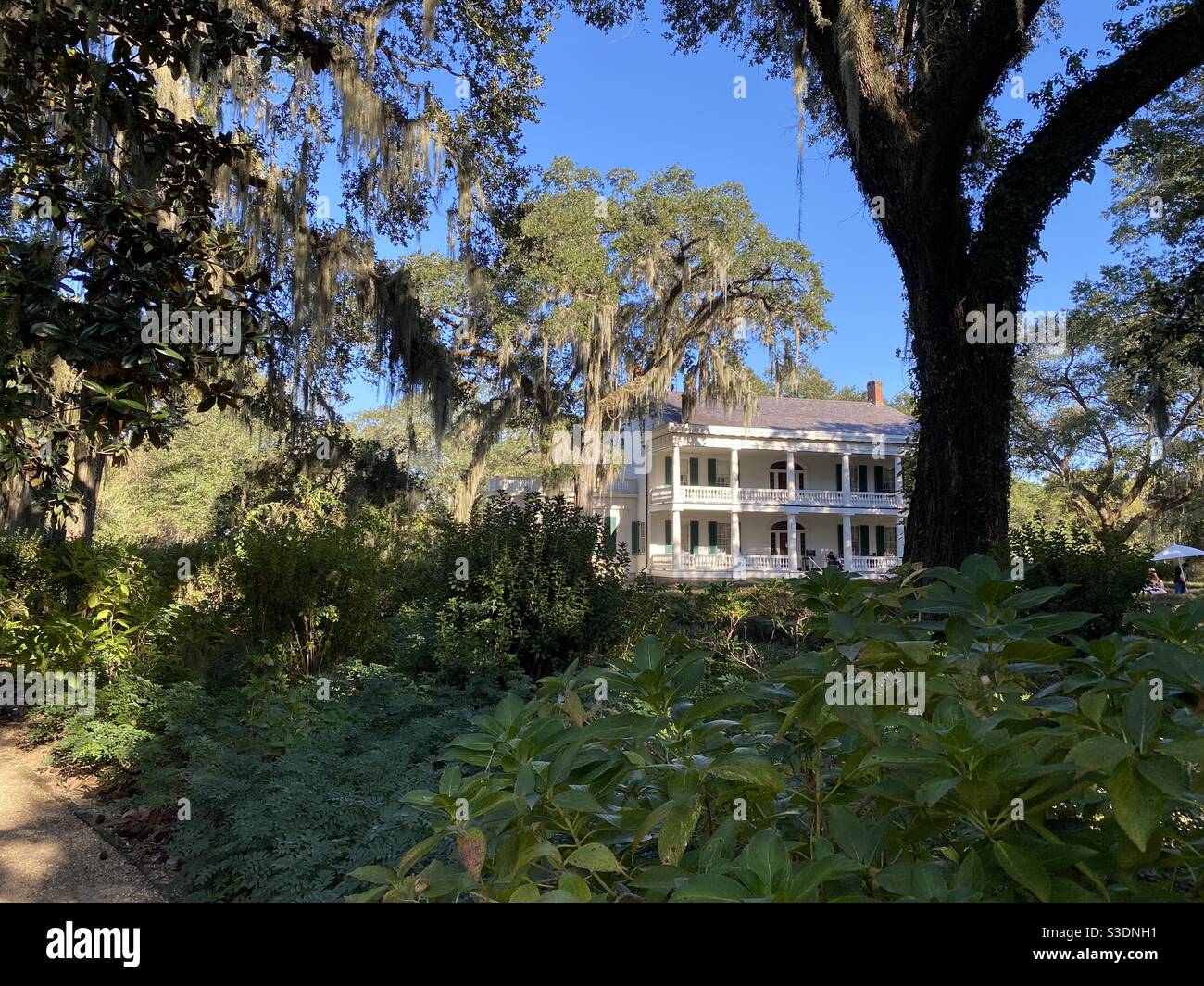 Rosedown Plantation & Gardens Stockfoto