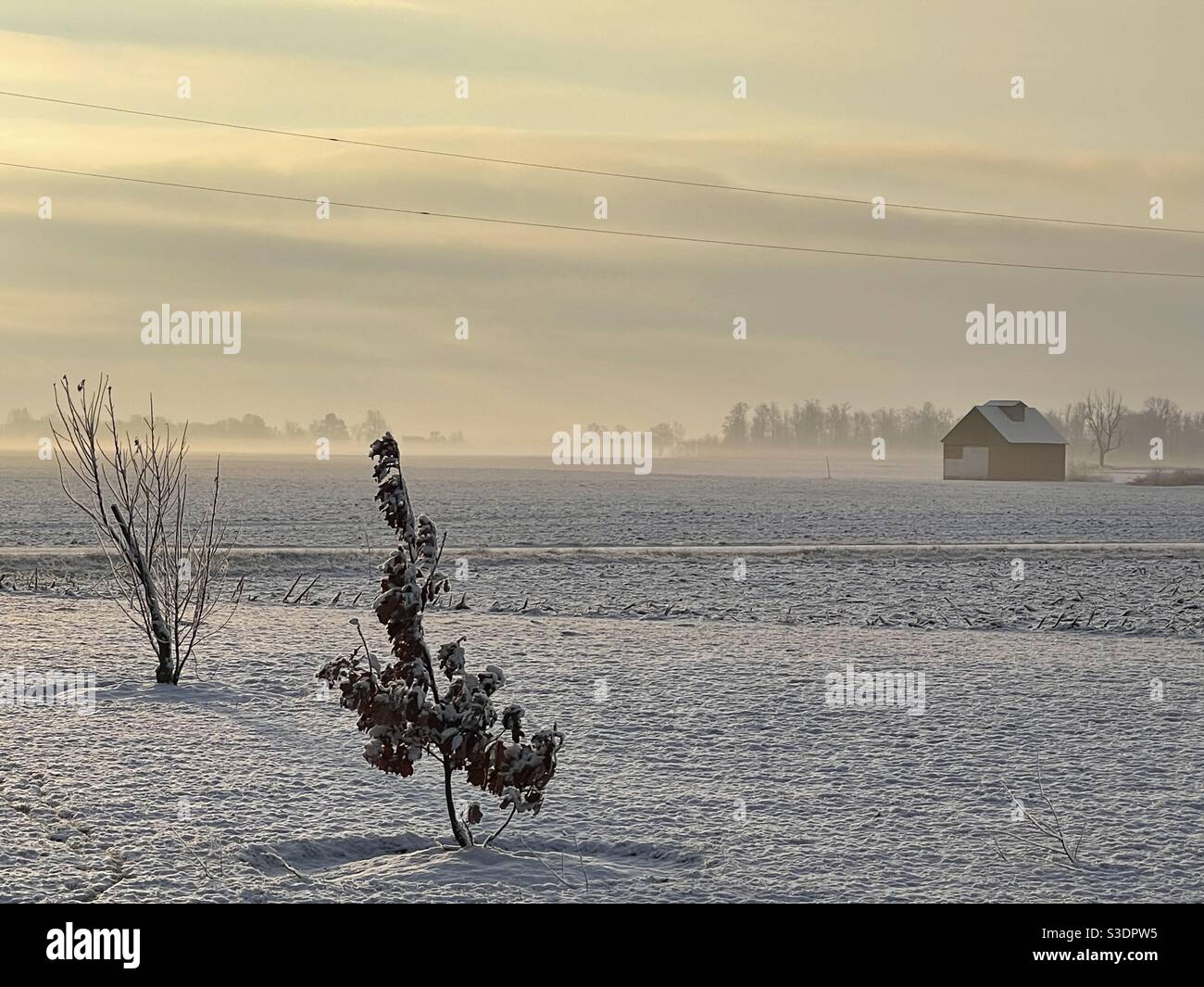Wintermorgen, ländliches Indiana Stockfoto