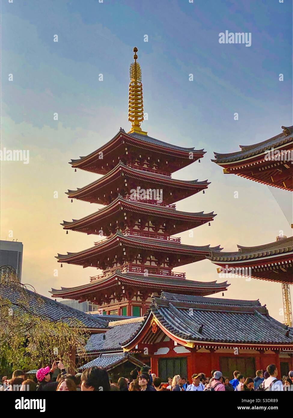 Alte fünfstöckige Pagode bei Sonnenuntergang im traditionellen Asakusa-Viertel in Tokio, Japan. - Smartphone-aufgenommenes Stockfoto