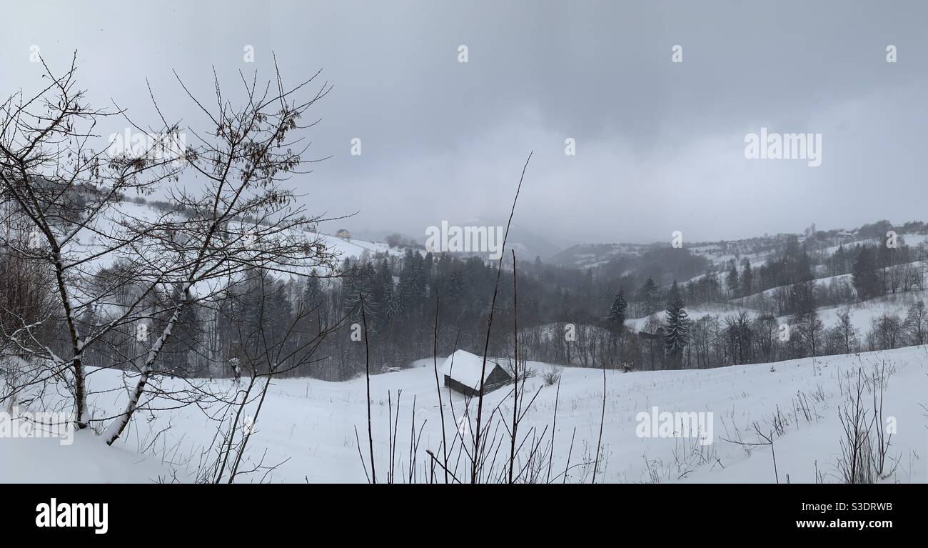 Wintertag in Siebenbürgen mit schneebedeckten Land und grau Himmel Stockfoto