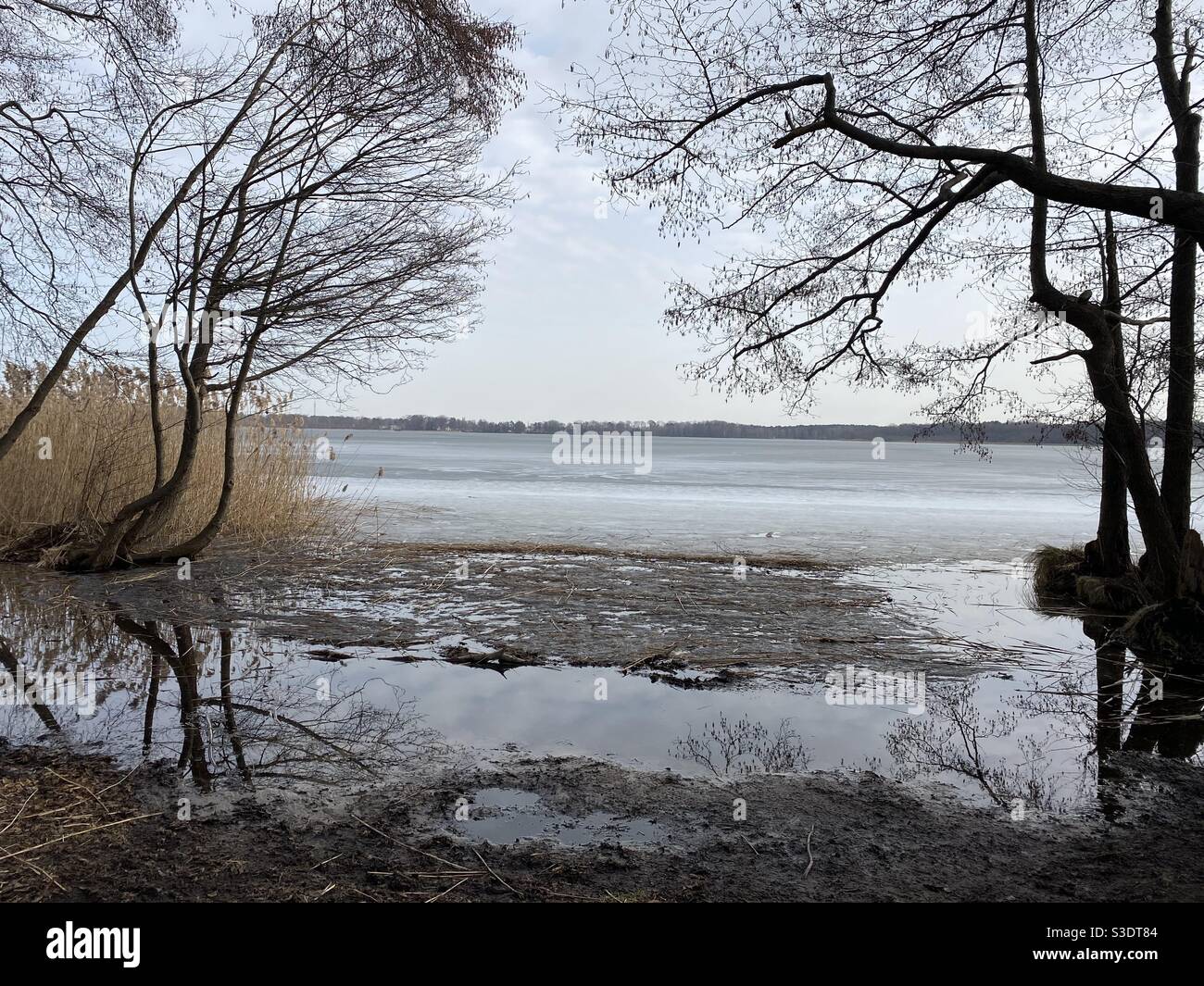 Blick auf den See im Winter Stockfoto