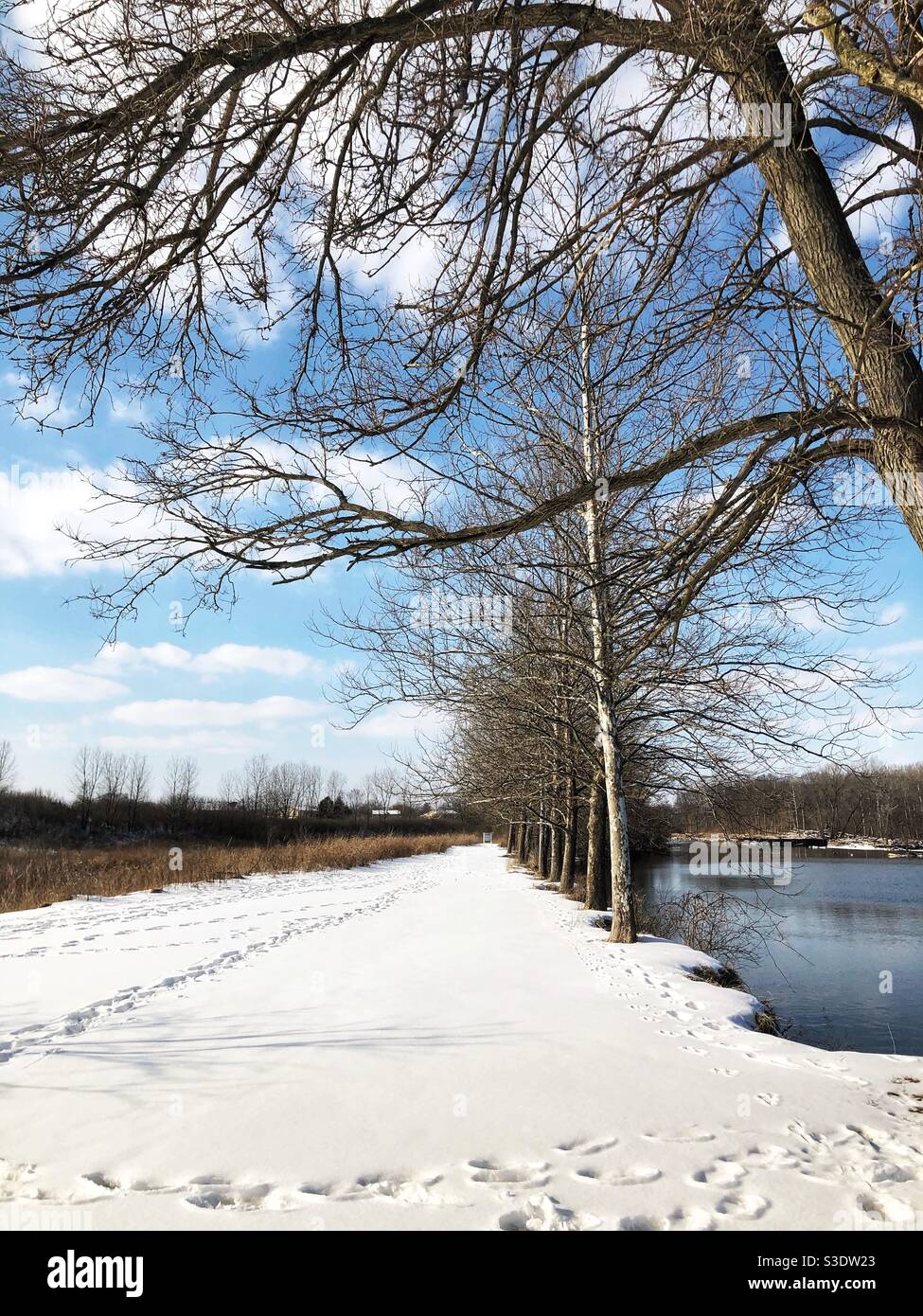 Fußabdrücke im Schnee an einem Fluss. Stockfoto