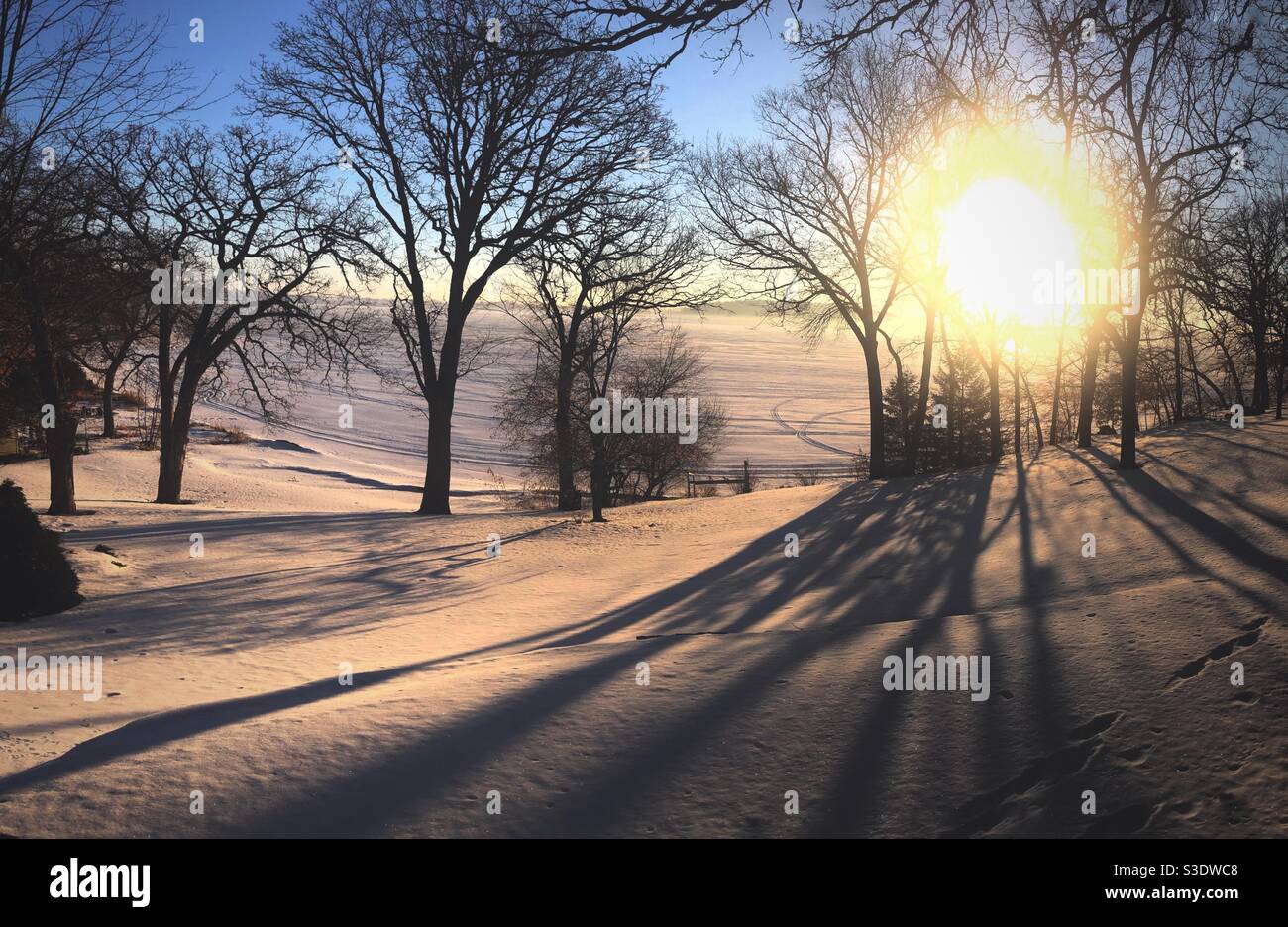 Sonne und Baumschatten Stockfoto