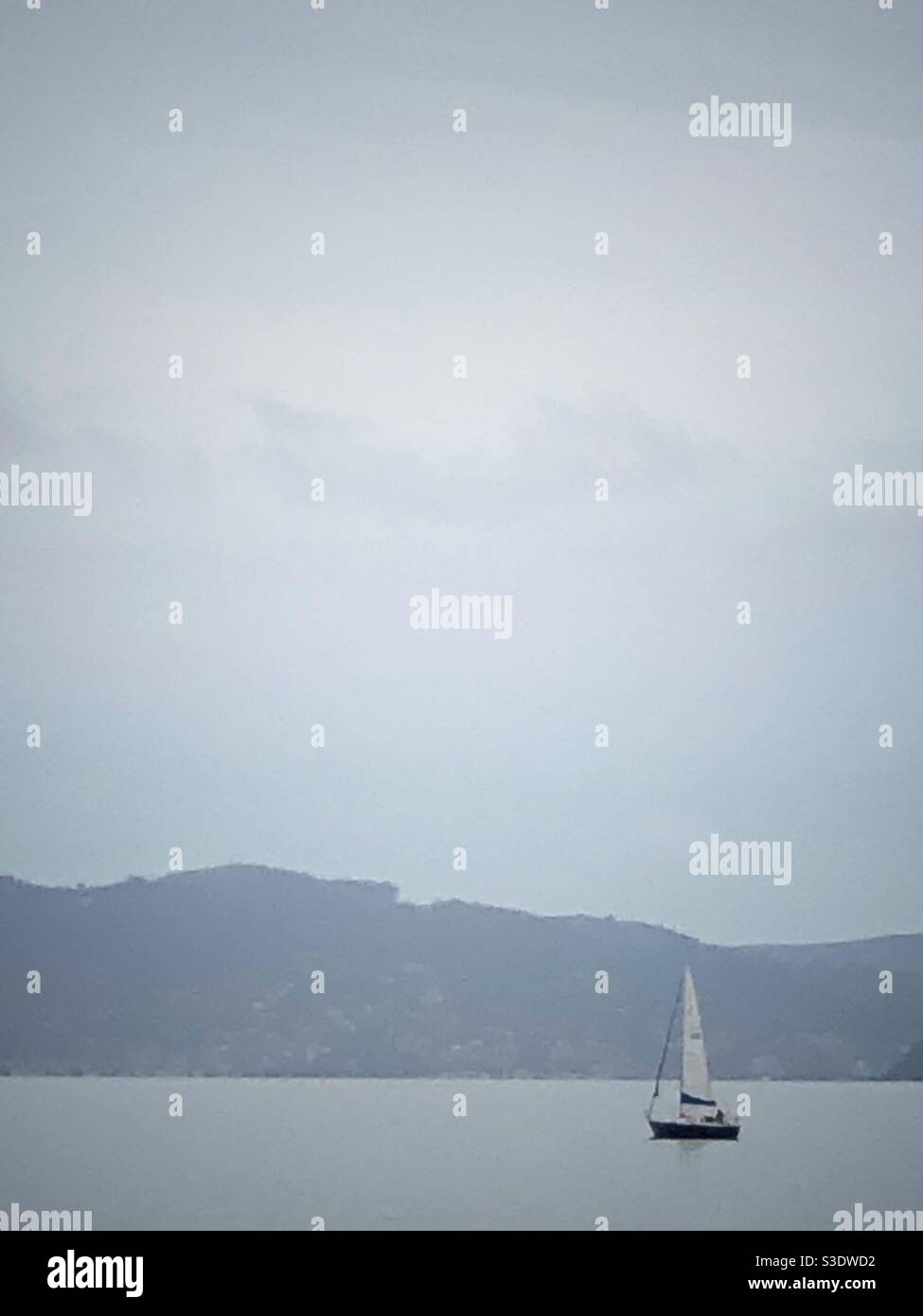 Eintägiges Segelboot auf der Bucht an einem Wintertag. Blick von der Emeryville Marina auf Marin in Kalifornien. Stockfoto