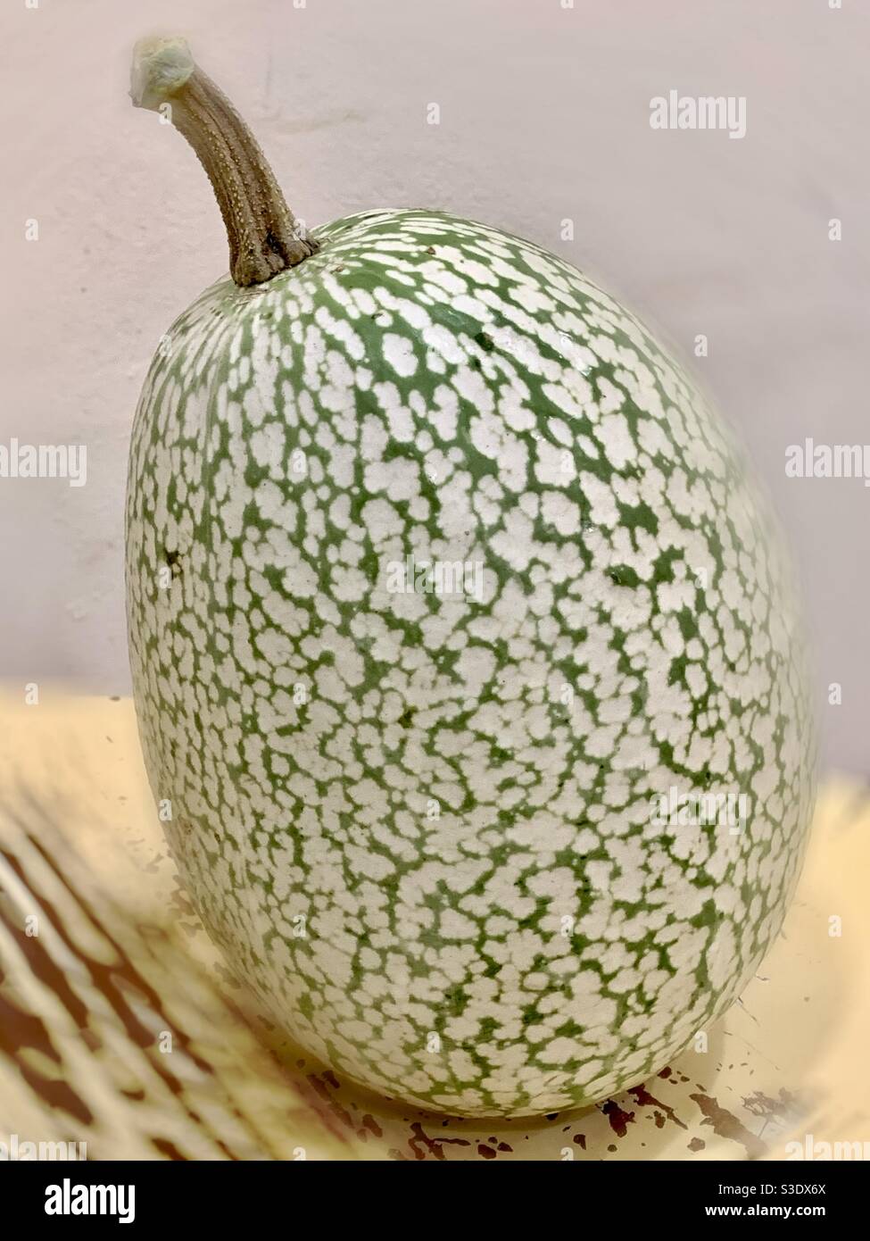 Der Hai Fin Melon Spaghetti Squash Auf Dem Gelblichen Tabelle Stockfotografie Alamy