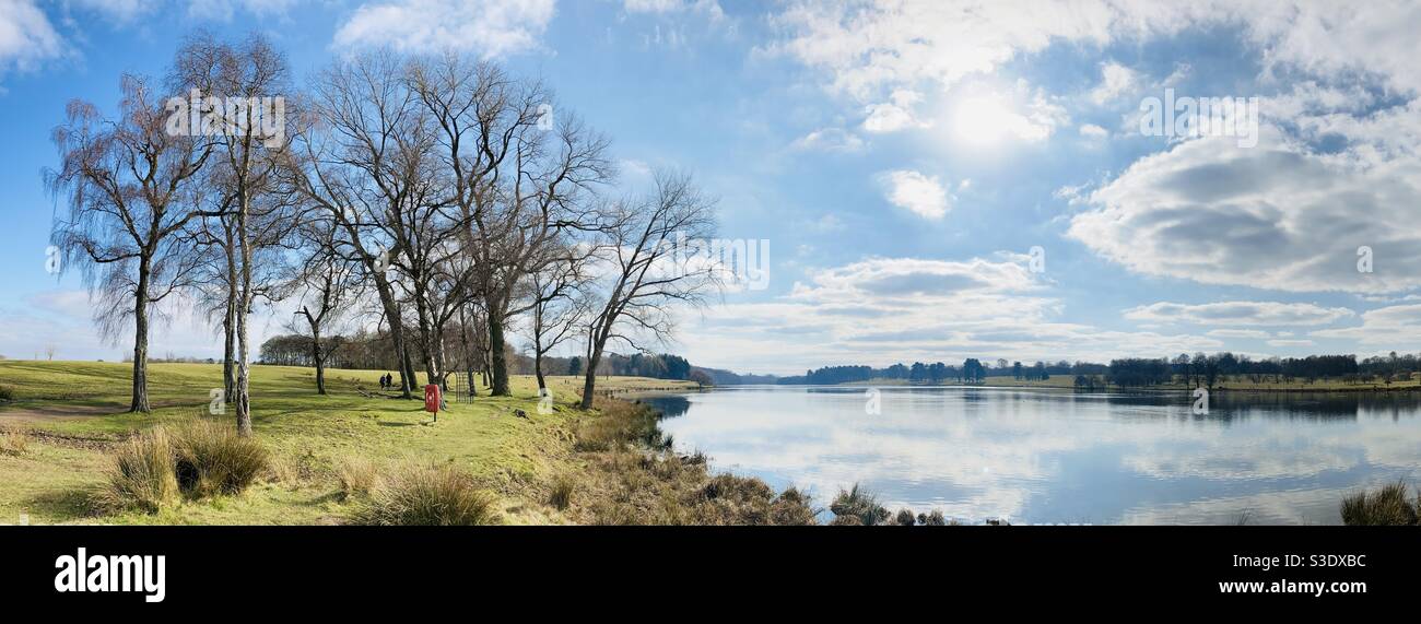 Tatton Mere, Knutsford, Cheshire ... Wolken, die sich auf einem stillen See spiegeln und Winterbäume tragen Stockfoto