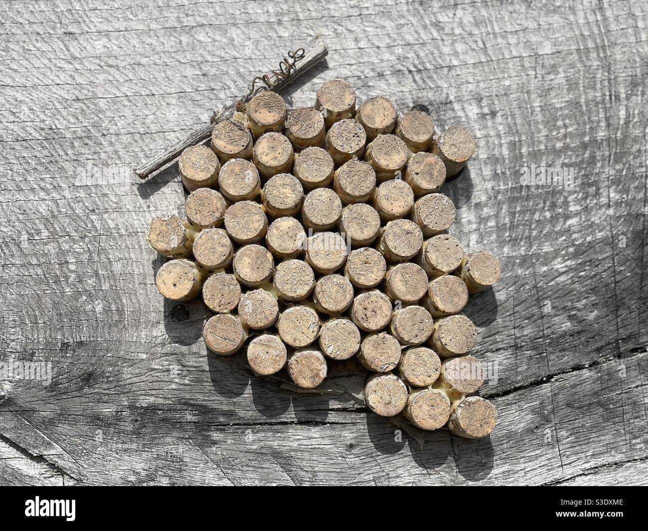Kreative stilisierte Trauben mit Korken komponiert Stockfoto
