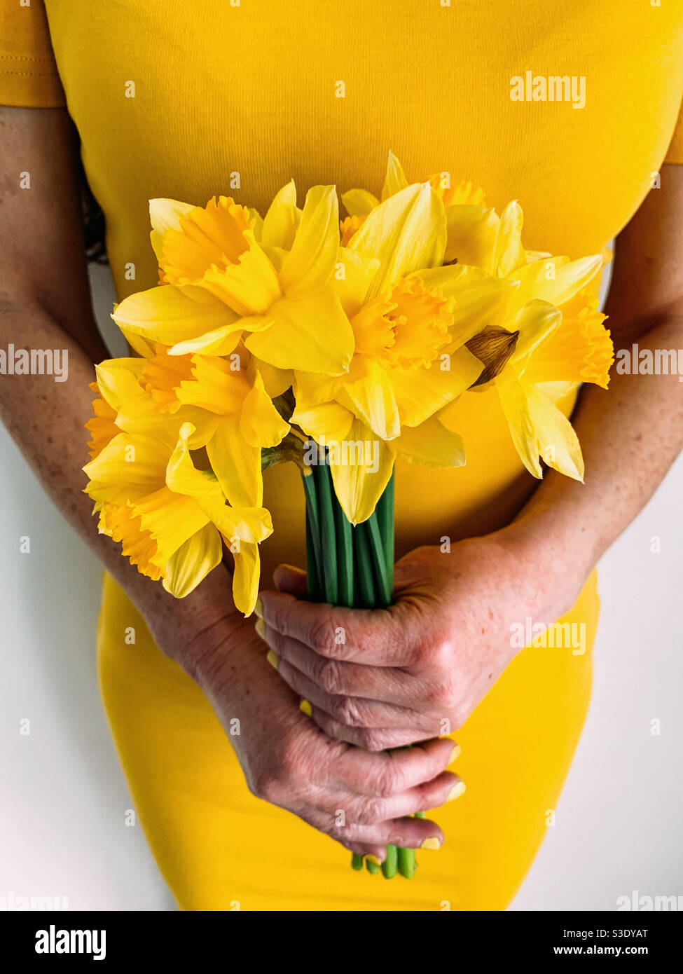 Frau mit einem Bündel von gelben Narzissen in einem gelben Kleid - Smartphone-aufgenommenes Stockfoto