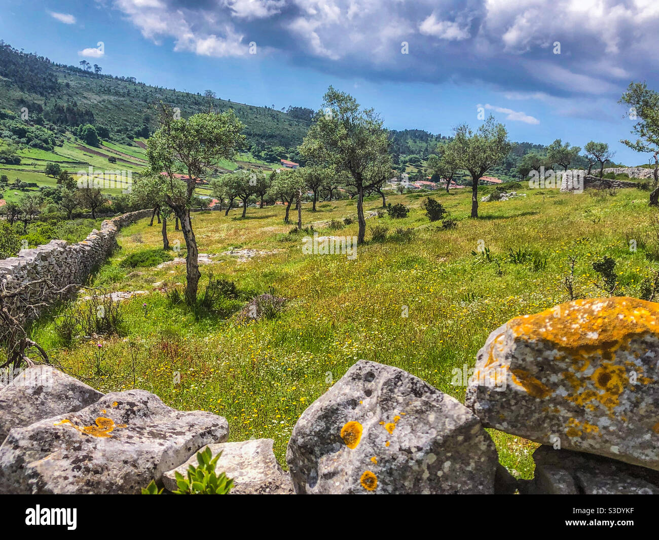 Landschaftsszene bei Fórnea, Porto de Mòs, Portugal - Mai 2020 - Smartphone-aufgenommenes Stockfoto