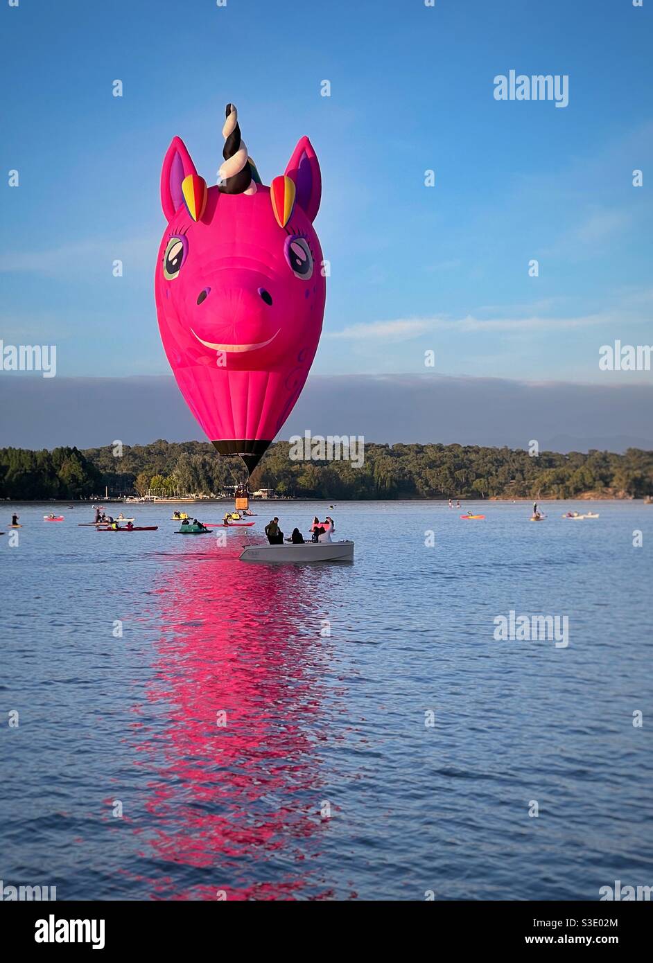 Einhorn-Ballon Stockfoto