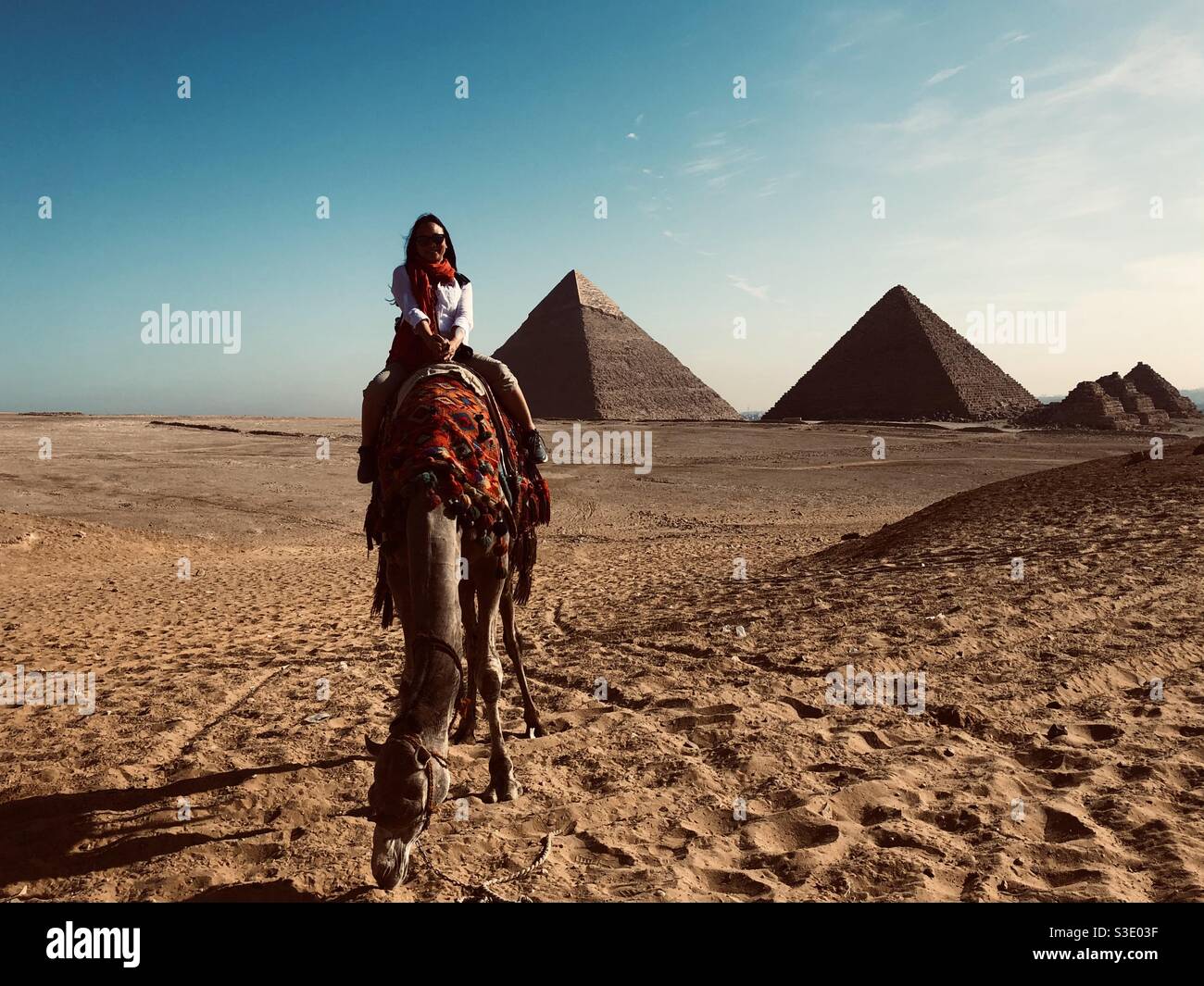 Kamelreiten in Gizeh Plateau, Ägypten. Stockfoto