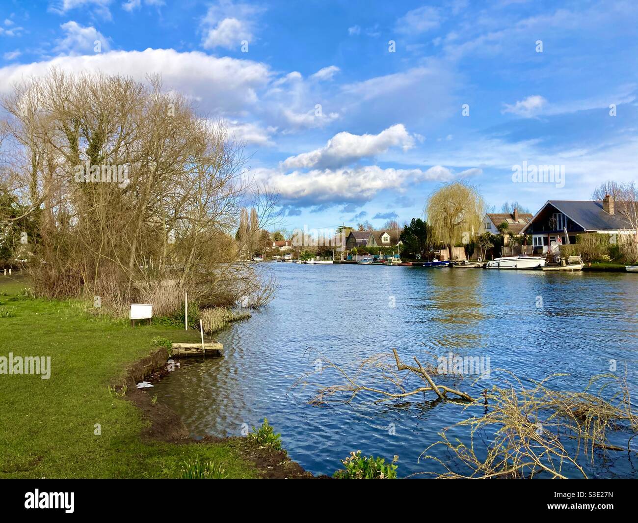 River Thames in Shepperton Surrey England, an einem sonnigen Frühlingstag Stockfoto