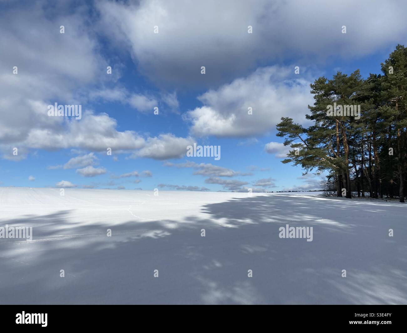 Felder im Winter - die unberührte Schneedecke Stockfoto