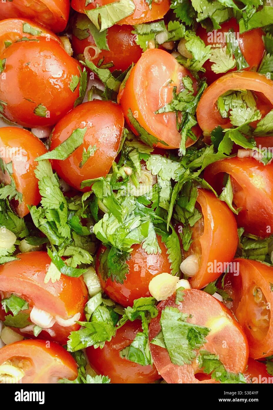 Tomatensalsa mit gehacktem Koriander in Olivenöl Dressing. Stockfoto