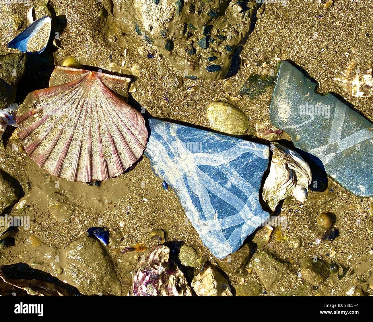 Abstrakte Muscheln - Smartphone-aufgenommenes Stockfoto