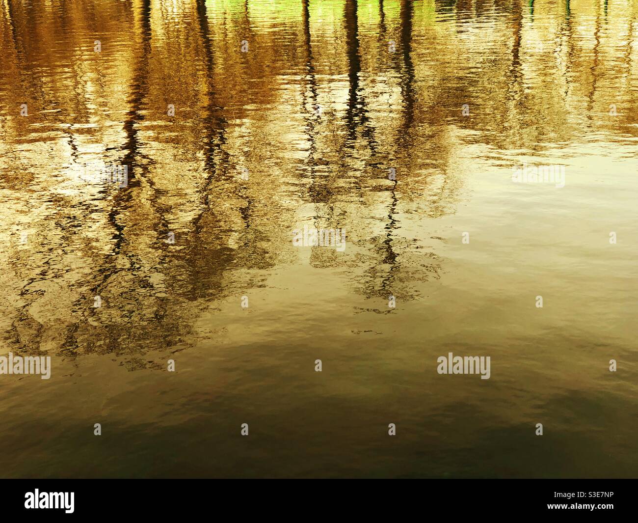 Reflexionen von Winterbäumen mit goldenem Filter Stockfoto