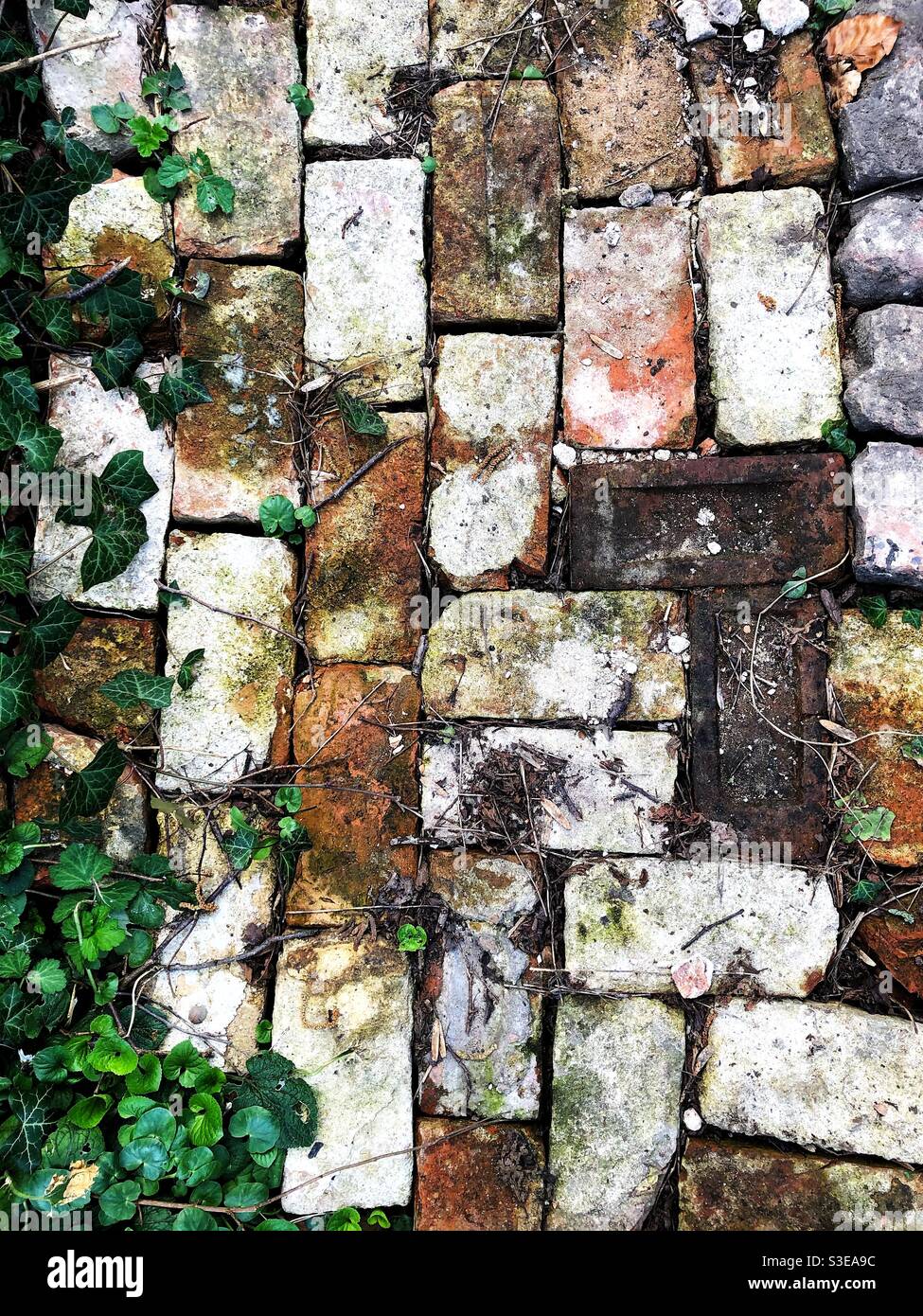 Ein farbenfroher Backsteinweg, auf dem die Natur die Übernahmen Stockfoto