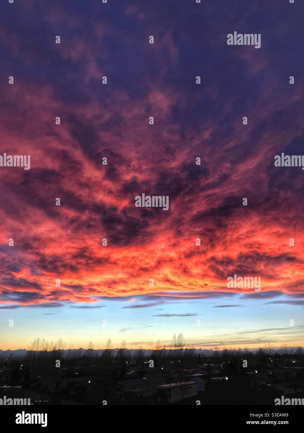 Feurige chinook-Bogenwolken bei Sonnenuntergang in Calgary, Alberta, Kanada. Stockfoto