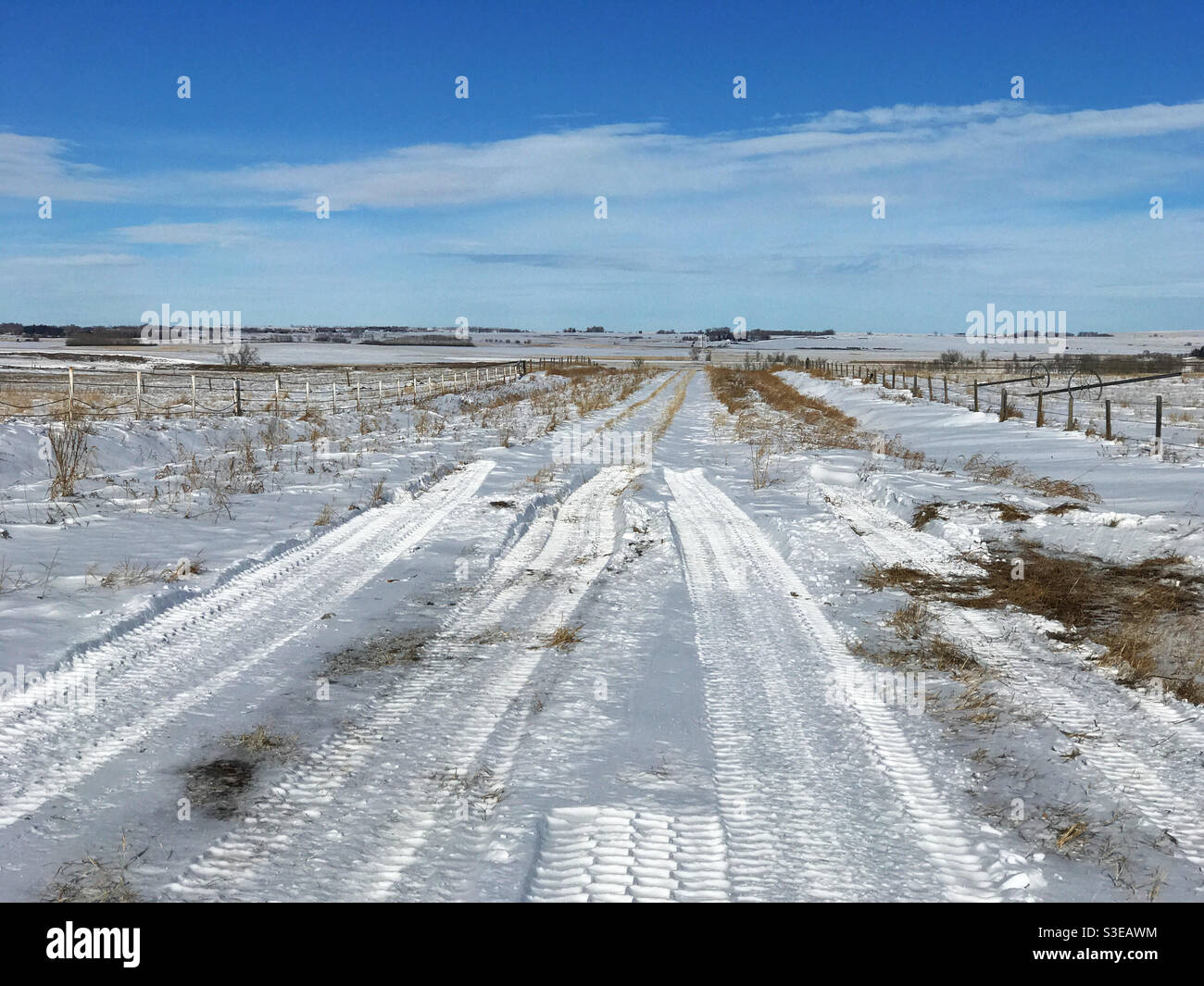 Profilmarken eines Fahrzeugs, das auf einer unbefestigten Straße in den Prärien von Alberta in der Nähe von Calgary, Kanada, durch tiefen Schnee gefahren wurde. Stockfoto