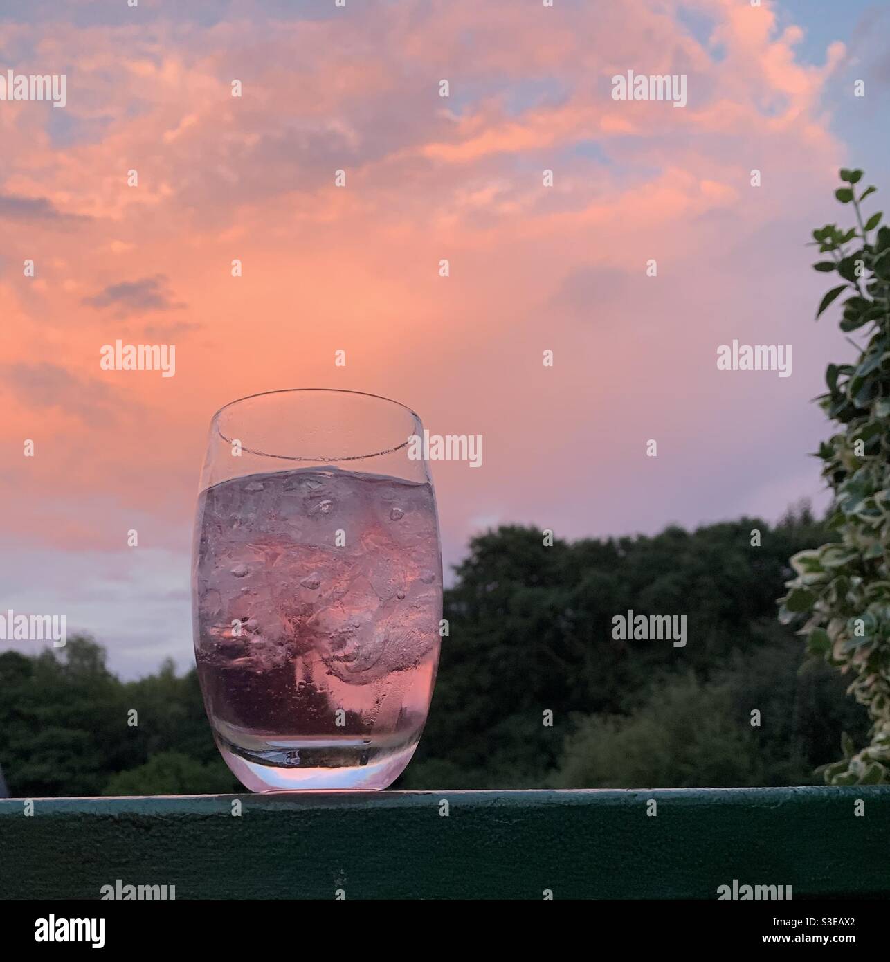 Pink Gin & Tonic mit rosa Sonnenuntergang. Stockfoto