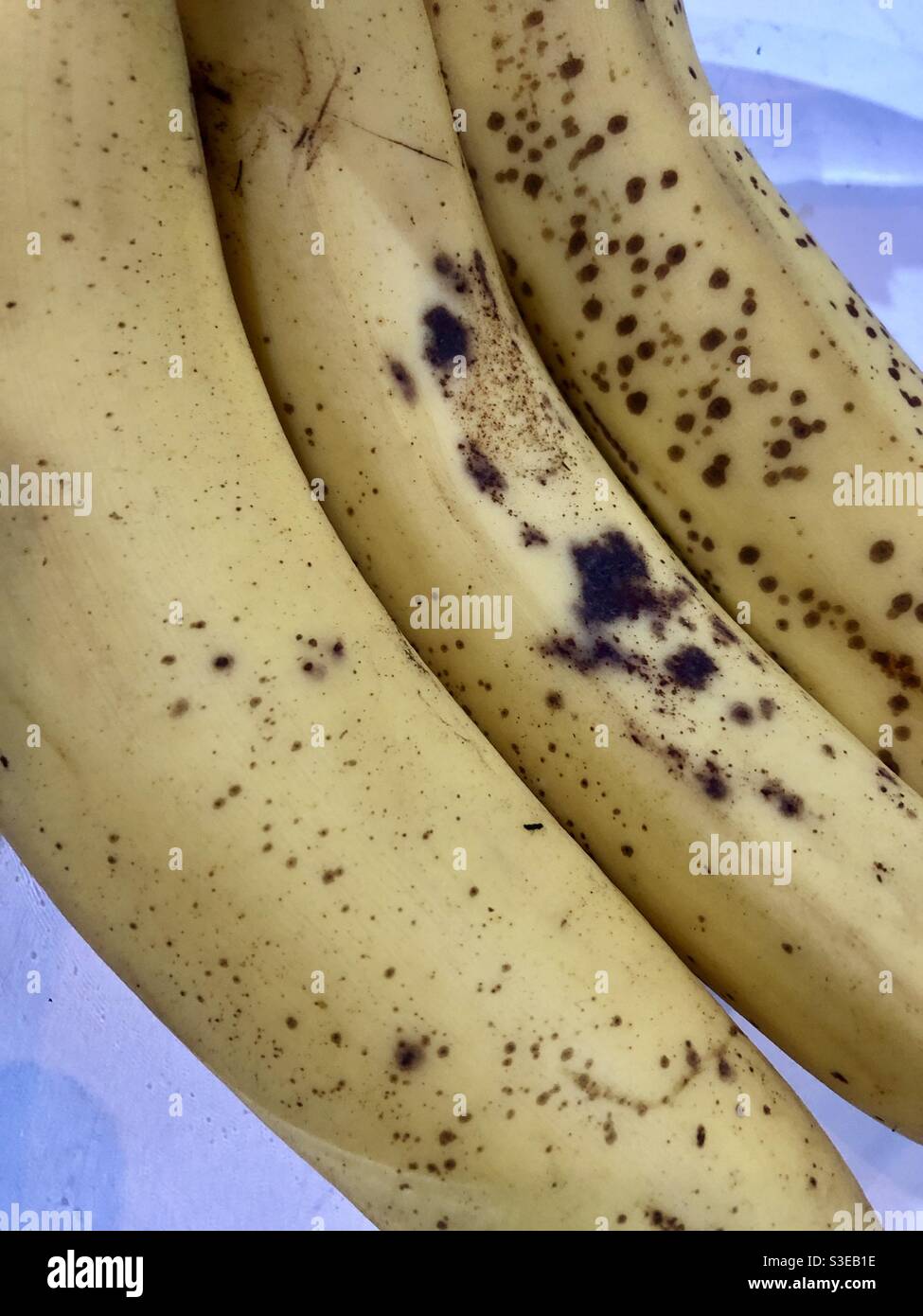 Nahaufnahme von drei reifen Bananen Stockfoto
