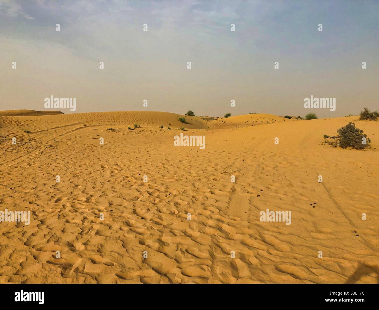 Wüstenlandschaft bei Sonnenuntergang in der Nähe von Dubai, VAE. - Smartphone-aufgenommenes Stockfoto