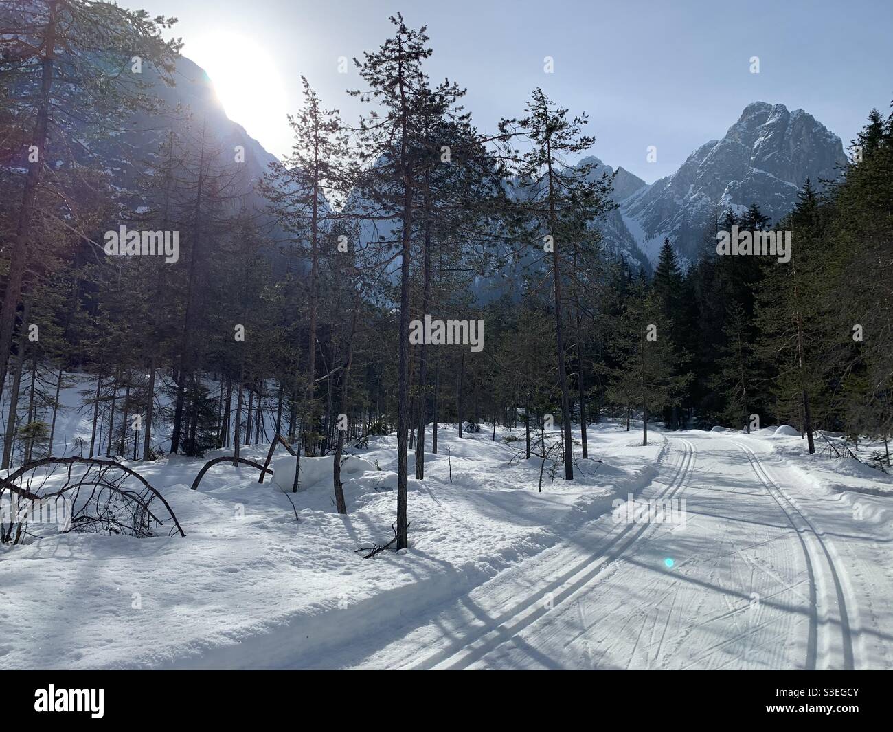 Langlaufloipe in den Dolomiten, Italien. - Smartphone-aufgenommenes Stockfoto