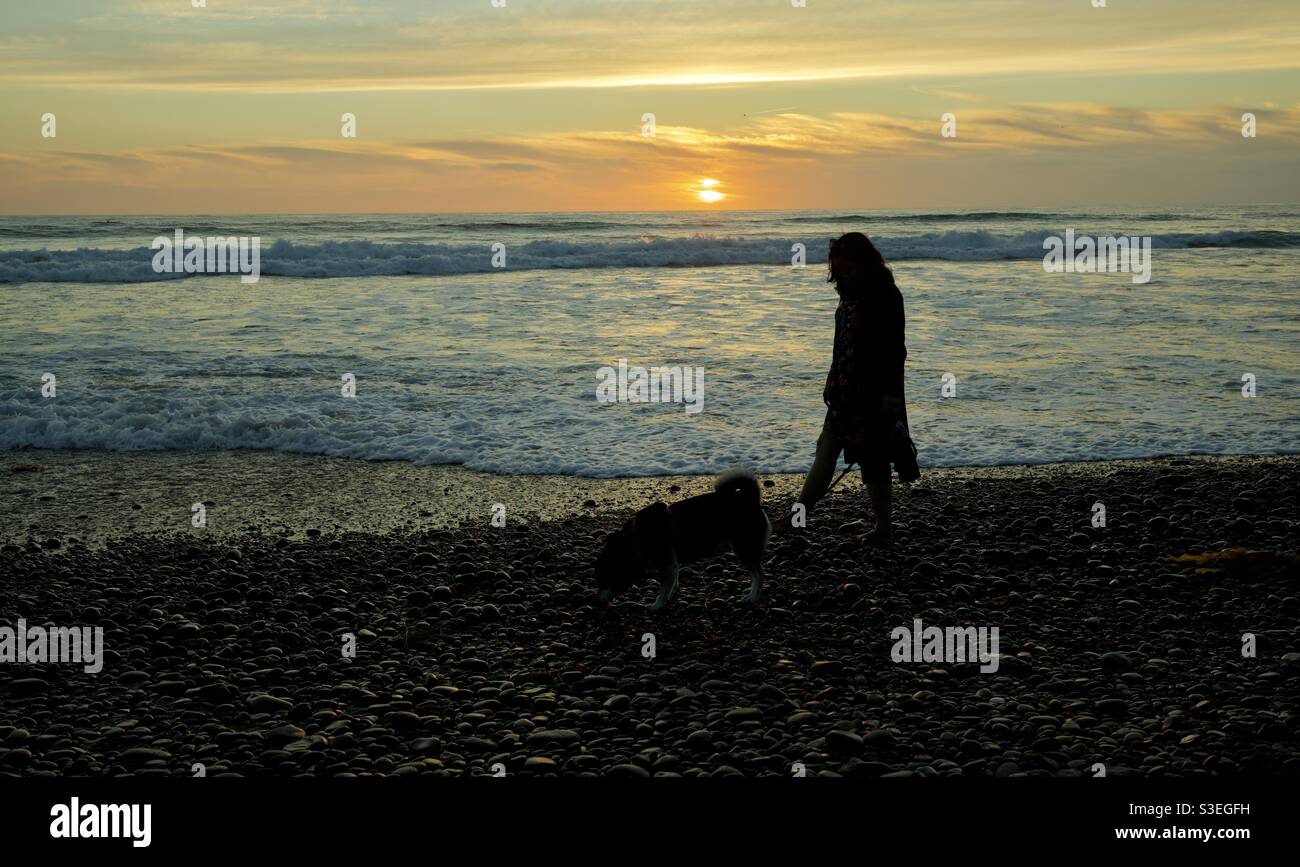Sonnenuntergang mit einer Dame und einem Hund Stockfoto