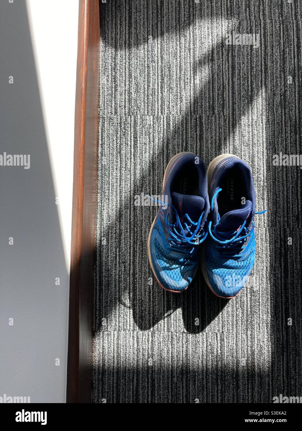 Blaue Laufschuhe in einem Fleck Sonnenlicht auf einem teppichboden Stockfoto
