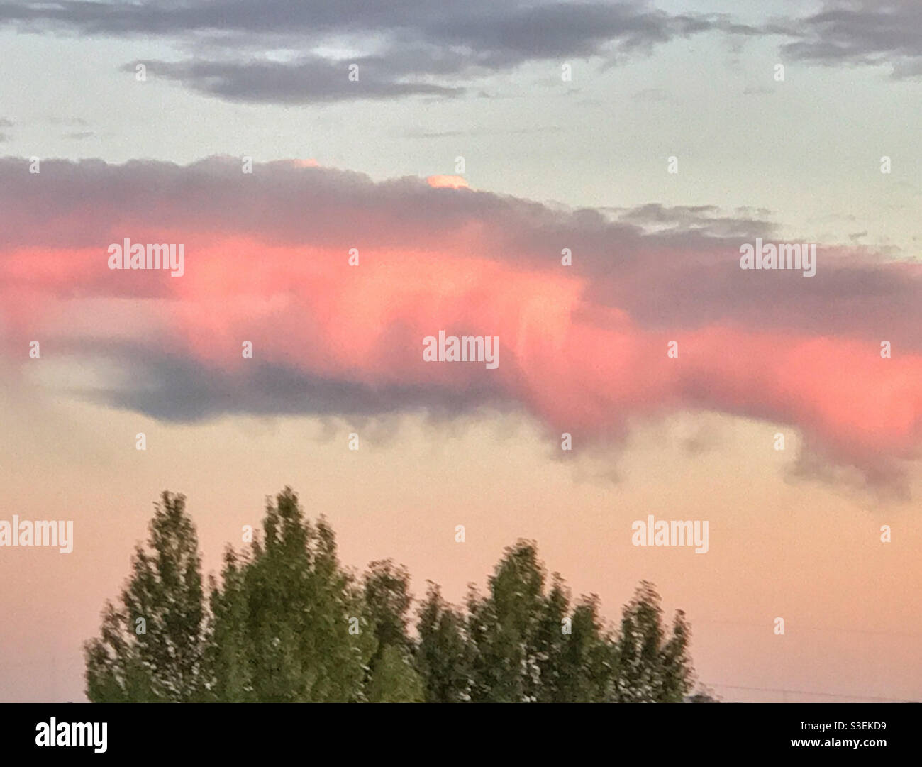 Interessanterweise geformte rosa Wolken bei Sonnenuntergang, wie Kandyfloss. Calgary, Alberta, Kanada. Stockfoto