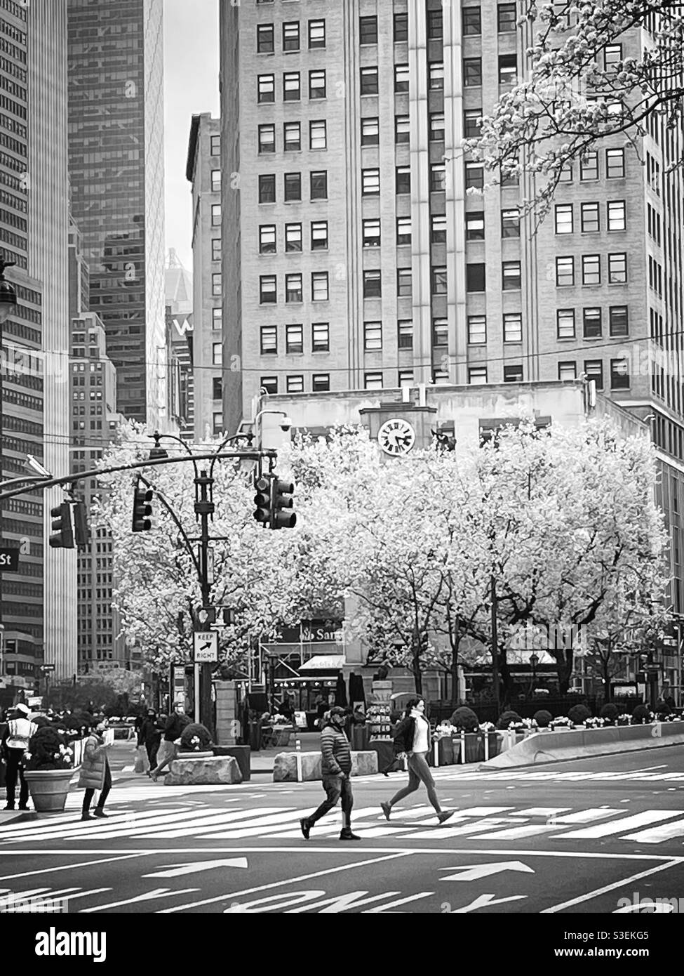 Schwarz-Weiß-Fotografie des Herald Square im Frühling, NYC, USA Stockfoto