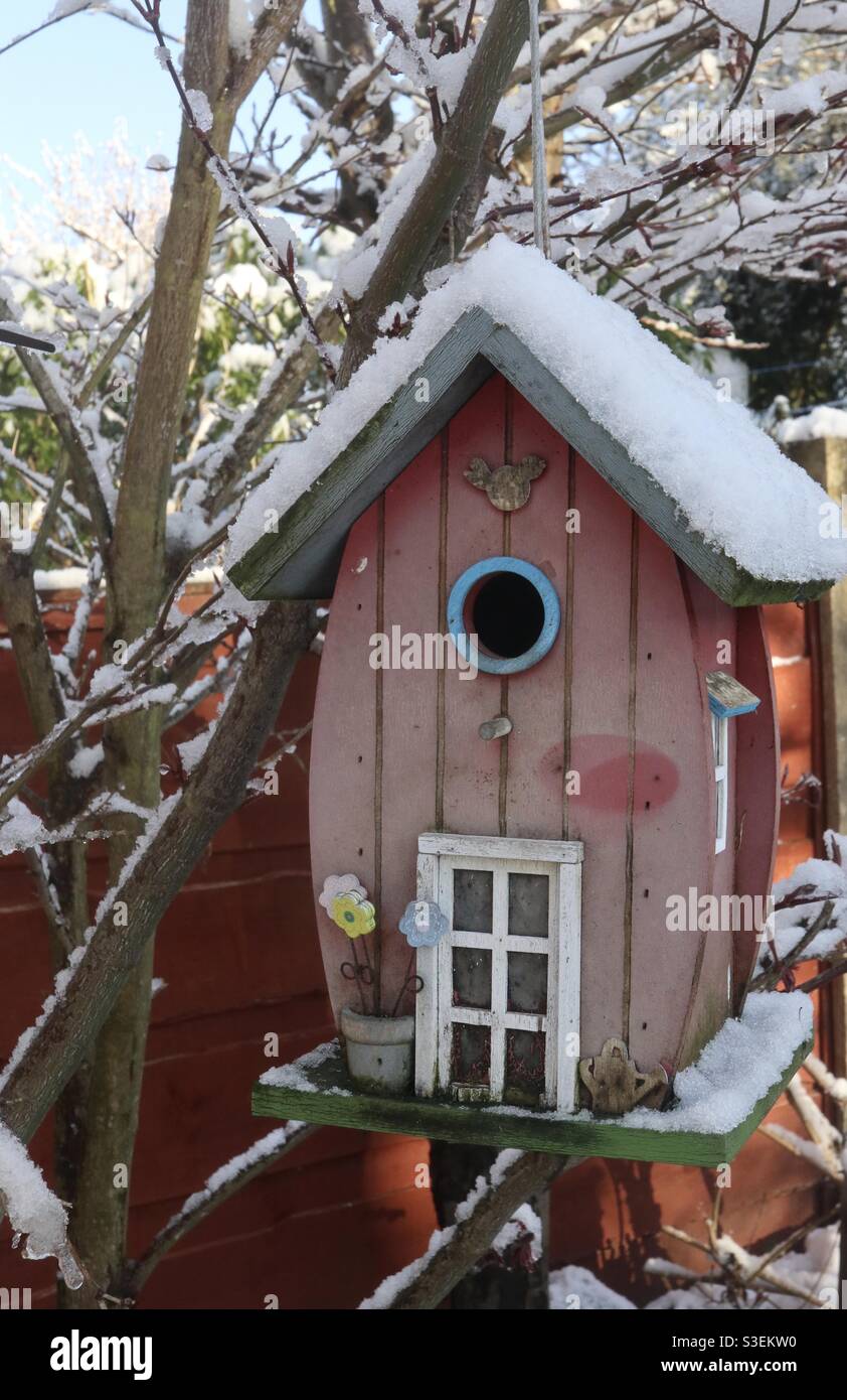 Vogelhaus im Schnee. Stockfoto