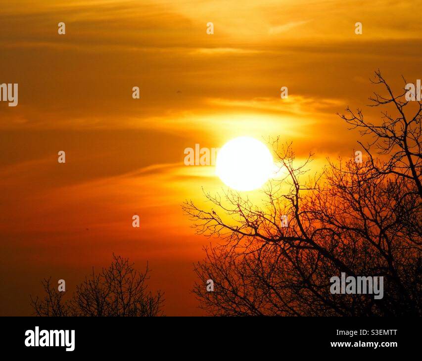 Ein warmes Abendglühen bei Sonnenuntergang. - Smartphone-aufgenommenes Stockfoto