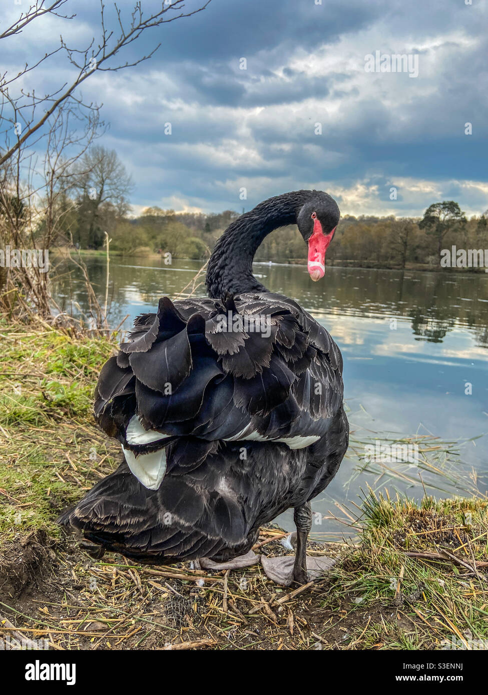 Spaziergänge - Smartphone-aufgenommenes Stockfoto