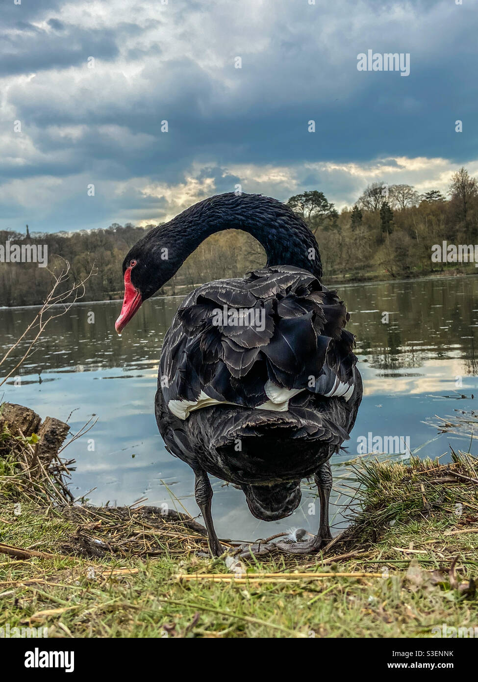 Spaziergänge - Smartphone-aufgenommenes Stockfoto