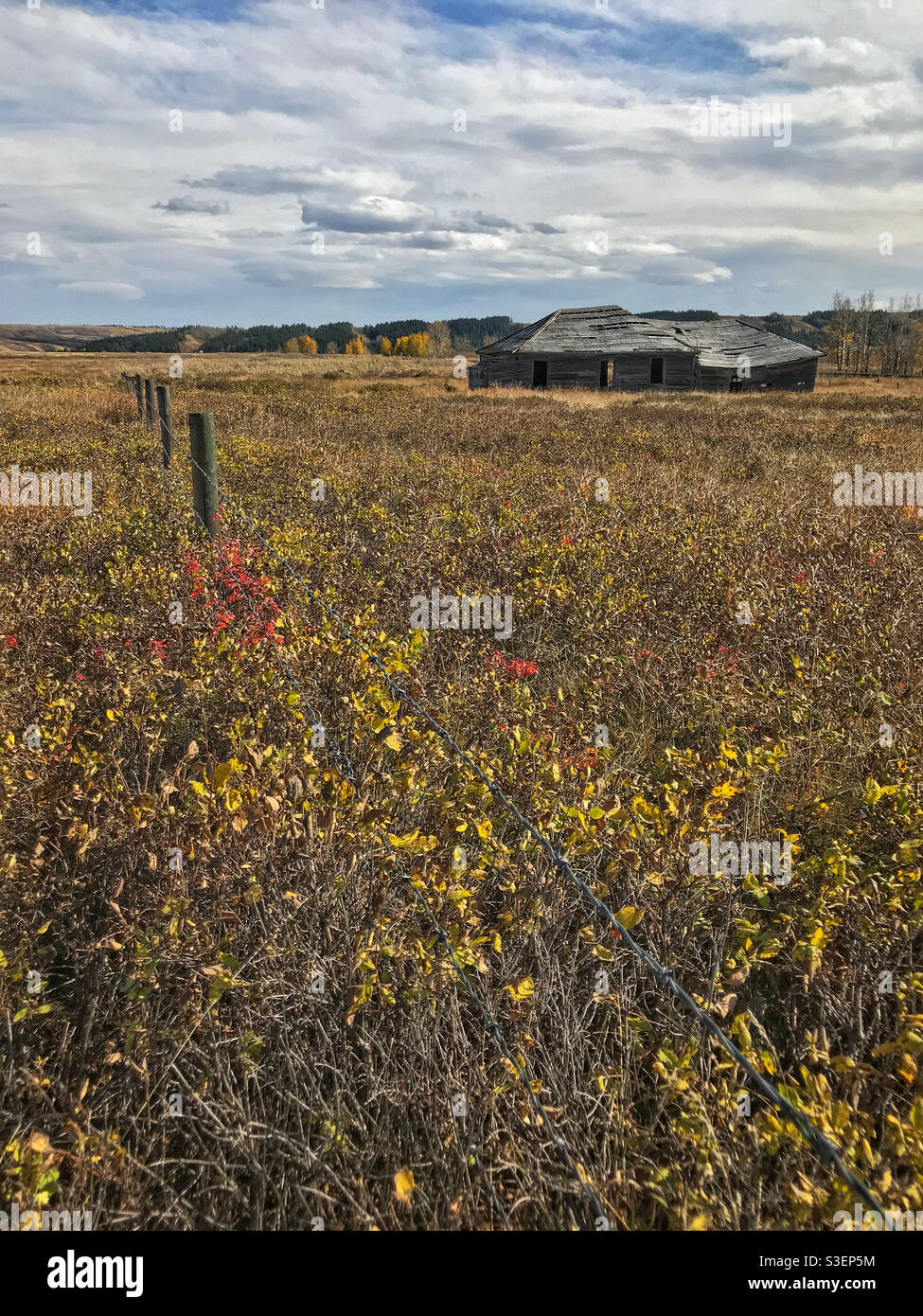 Das alte Postamt und das allgemeine Geschäft, umgeben von warmem herbstlichem Laub, im Glenbow Ranch Provincial Park, in der Nähe von Calgary, Alberta, Kanada. - Smartphone-aufgenommenes Stockfoto