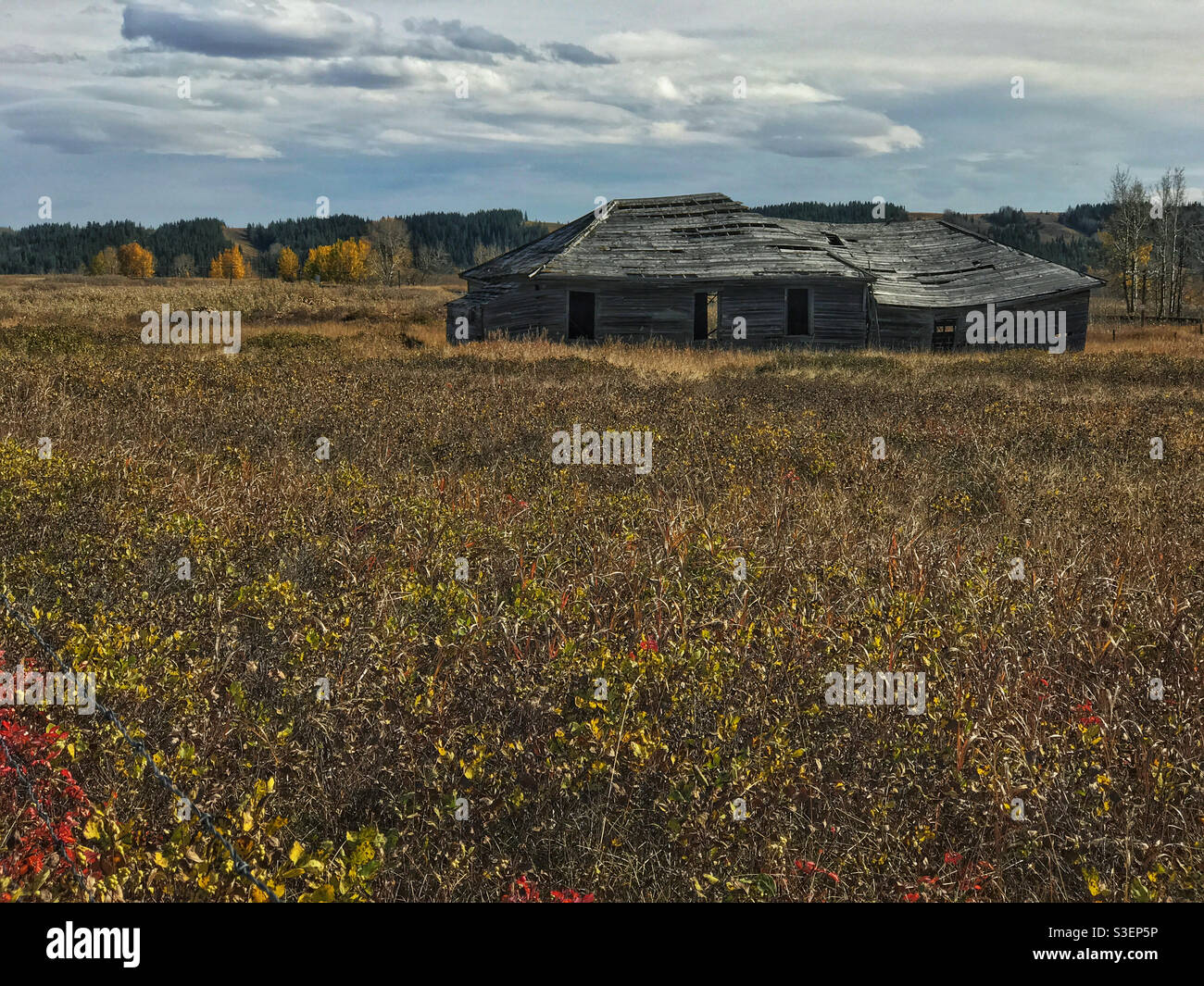 Das alte, verlassene Geschäft und Postamt, umgeben von herbstlichem Laub, im Glenbow Ranch Provincial Park, in der Nähe von Calgary, Alberta, Kanada. - Smartphone-aufgenommenes Stockfoto